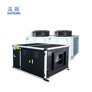 臥式恒溫恒濕空調(diào) HST-48-W