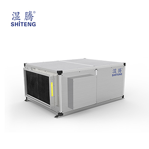 吊裝臥式除濕加濕一體機 CJST-480LD-W